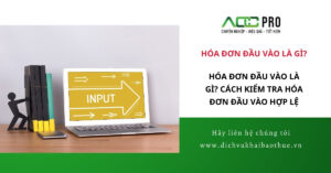 Hóa đơn đầu vào là gì? Cách kiểm tra hóa đơn đầu vào hợp lệ