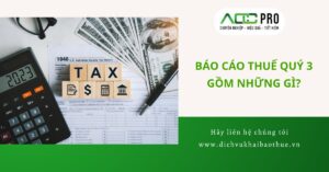 Dich vu bao cao thue quy 3