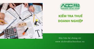 kiem tra thue doanh nghiep